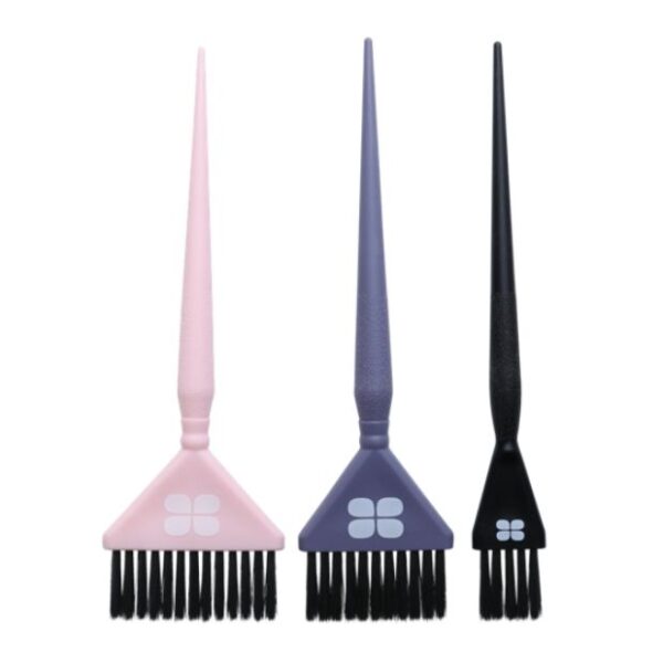 סט מברשות לצבע